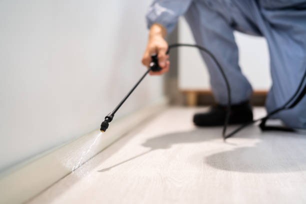 Licensed Pest Control service in Renova, MS - Show Me Pest Control