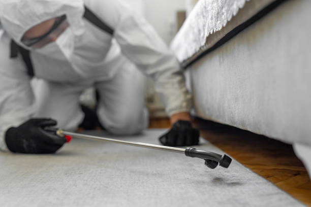 Professional Ant Control technician working in Renova, MS