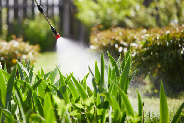 24/7 Emergency Ant Control experts in Renova, MS