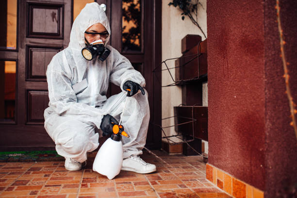 Reliable Ant Control contractor in Renova, MS by Show Me Pest Control